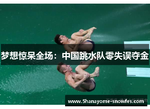 梦想惊呆全场：中国跳水队零失误夺金